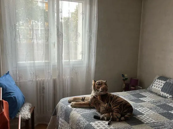 Appartement F3 Lacourneuve
