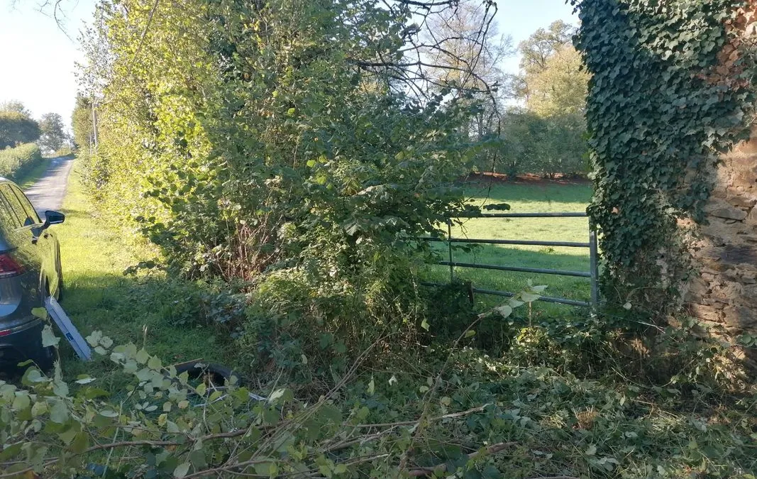 Photo 2