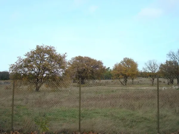 Terrain 320 m²