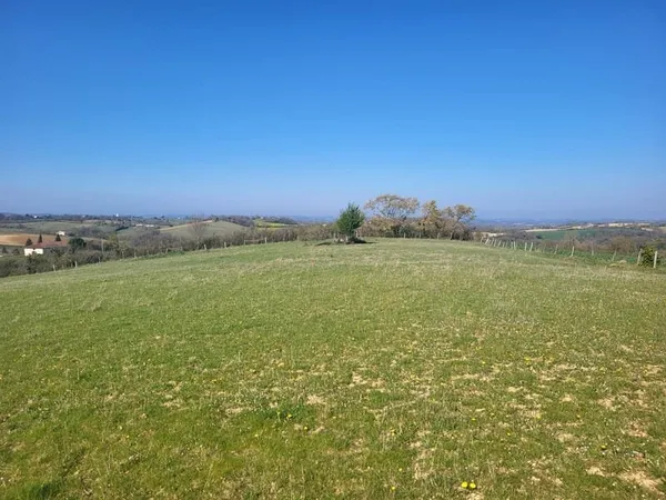 Terrain constructible