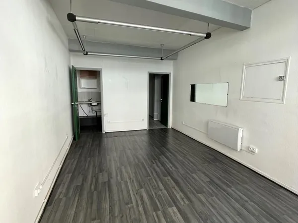 Appartement 1 pièce 25 m²