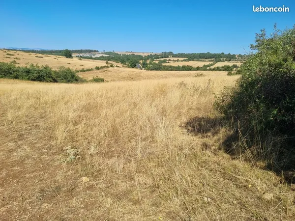 Terrain agricole
