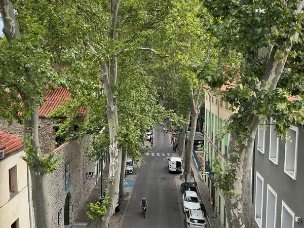 Ceret centre historique superbe appartement a restaurer
