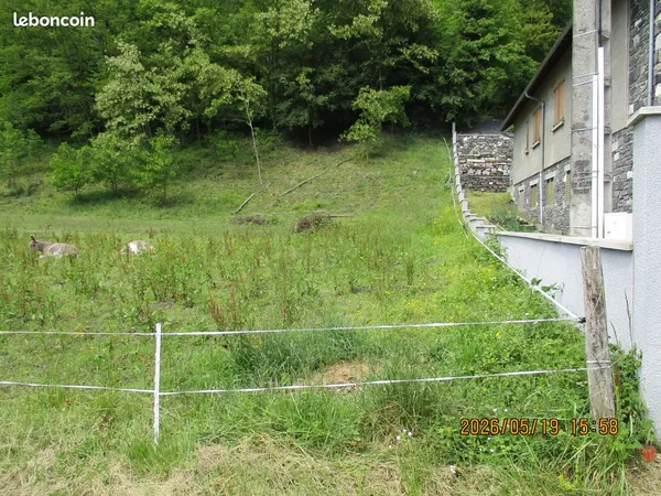 Petit terrain