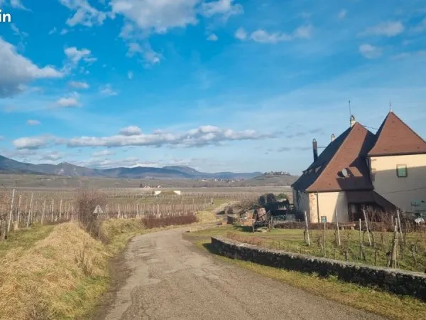 Alsacien recherche TERRAIN constructible sur route des vins secteur Turckheim -Ribeauvillé- Bergheim