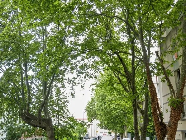 Place de parking dans résidence sécurisée
