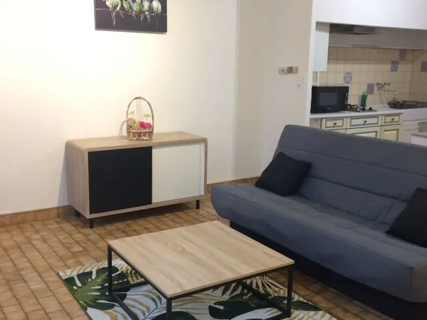 Appartement T2 meublé .centre ville Albi