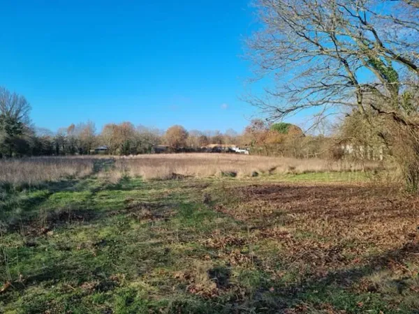 Maison neuve 4 pièces 85 m²