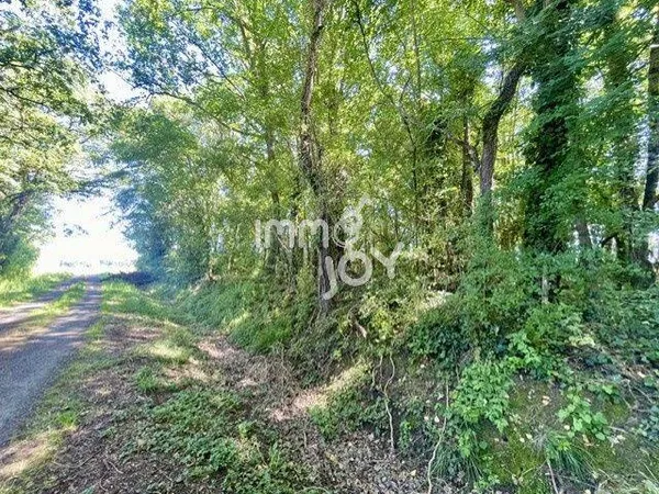 Terrain boisé 1304 m²
