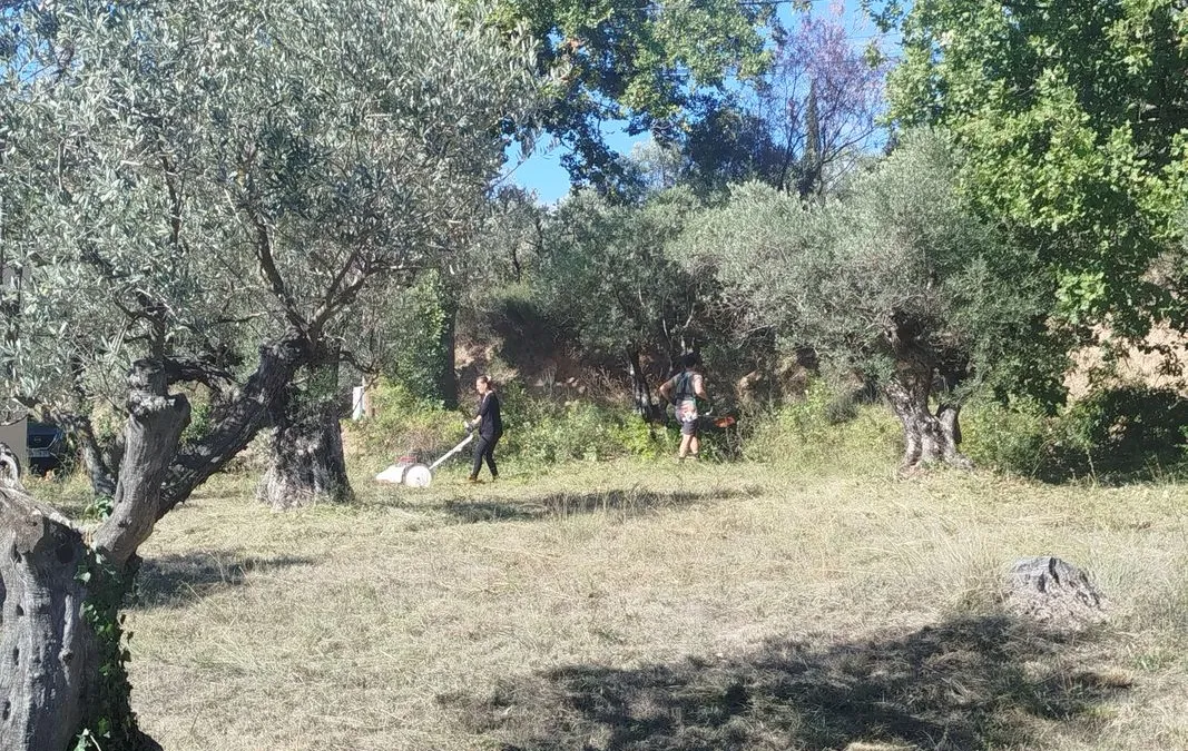 Photo 2