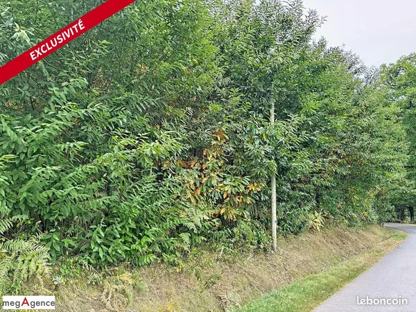 Terrain 1790 m² SAINT-MEXANT