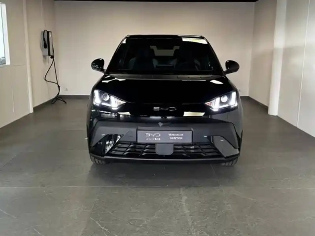 Byd Dolphin Surf 88ch - 43,2 kwh boost — photo 2