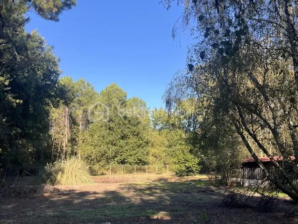 Terrain 2230 m²