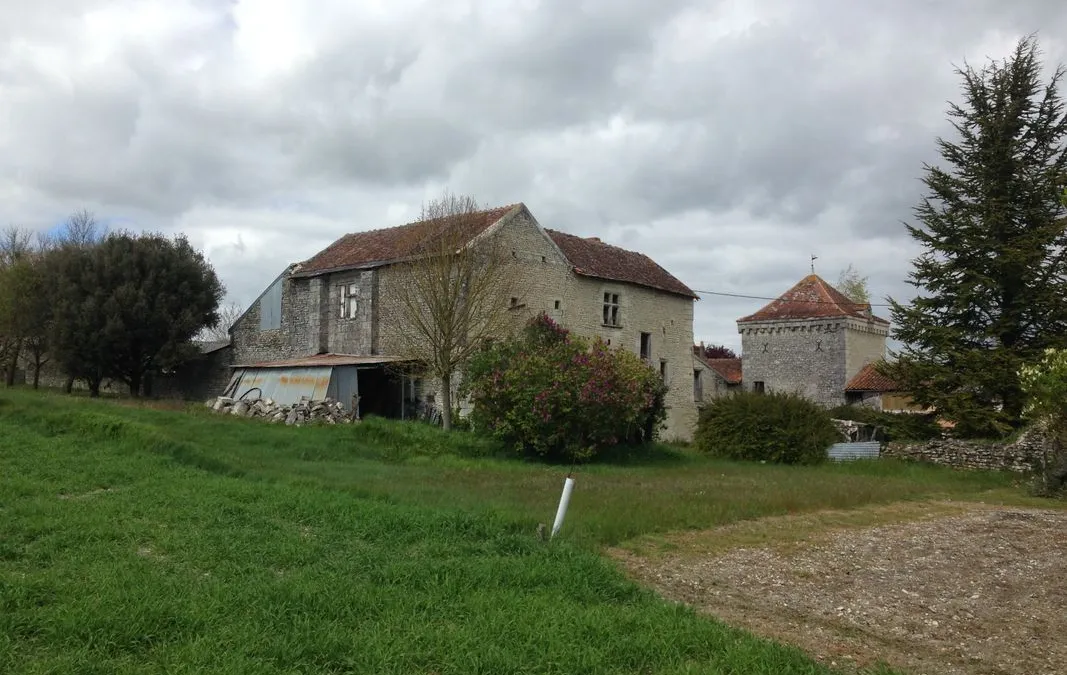 Photo 2