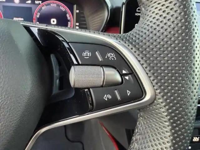 Skoda Fabia 1.0 tsi evo2 116ch monte carlo dsg7 — photo 14