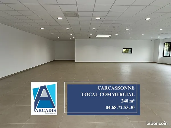 Local 240 m² CARCASSONNE