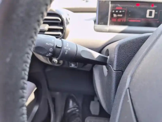Citroën C4 cactus bluehdi 100 shine — photo 14