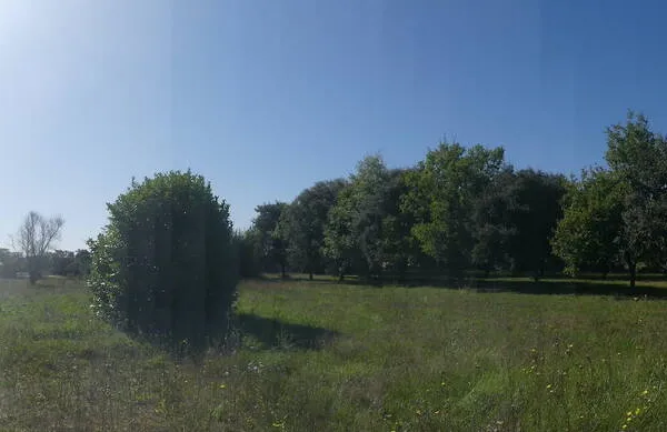Bien agricole et foncier Vente Cozes   50000€