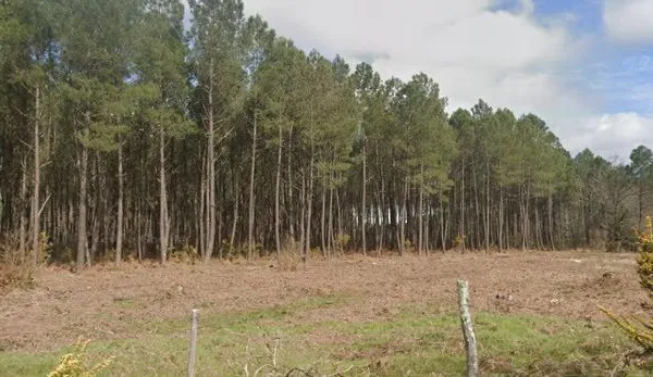 Terrain à bâtir de 410 m² à BRACH (33)