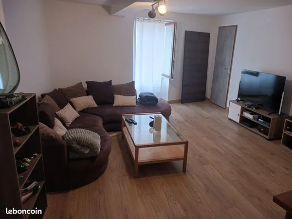 Grand T2 de 52 m² entièrement rénové