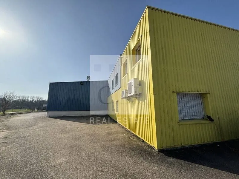 Photo 4