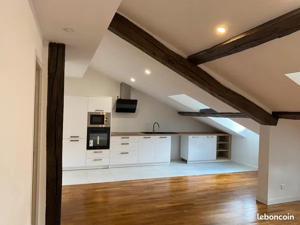 Appartement de charme - 50 m² Carrez (70m² au sol) - Plein centre-ville