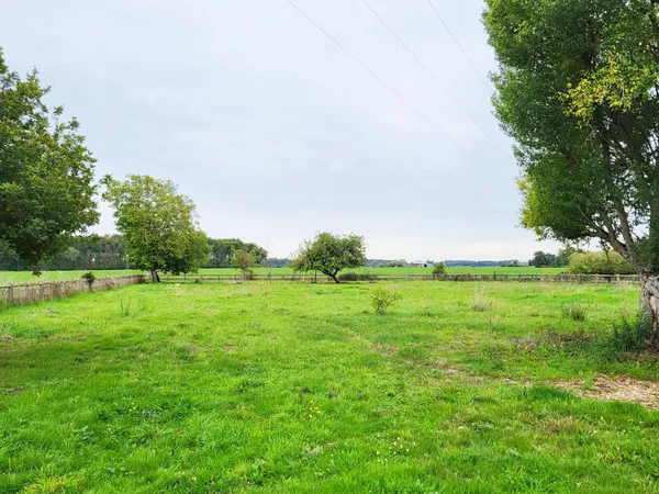 Terrain 2653 m²