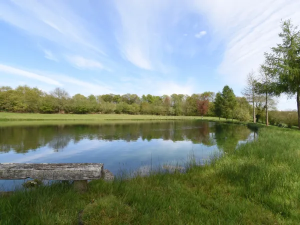 Terrain 38854 m²