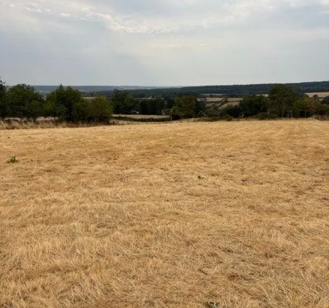 Terrain 2 300 m² Gueugnon