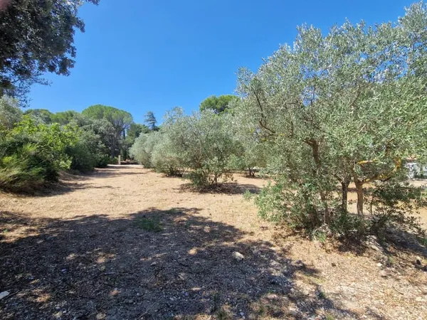 Terrain 950 m²