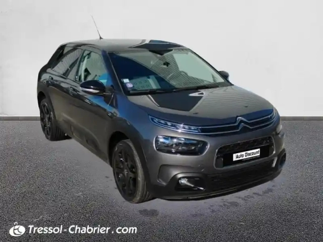 Citroën C4 cactus puretech 110 s&amp;s bvm6 shine — photo 23
