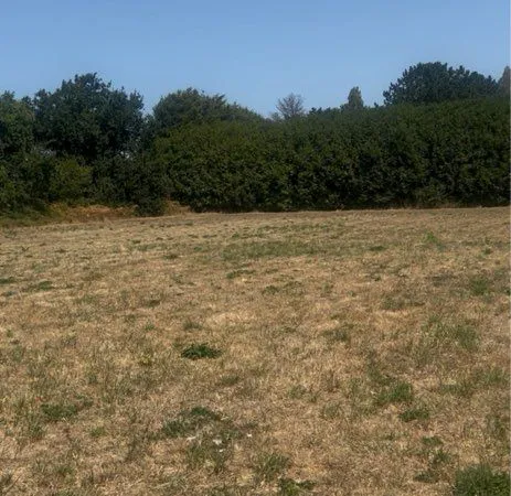 Terrain à louer 4500 m2