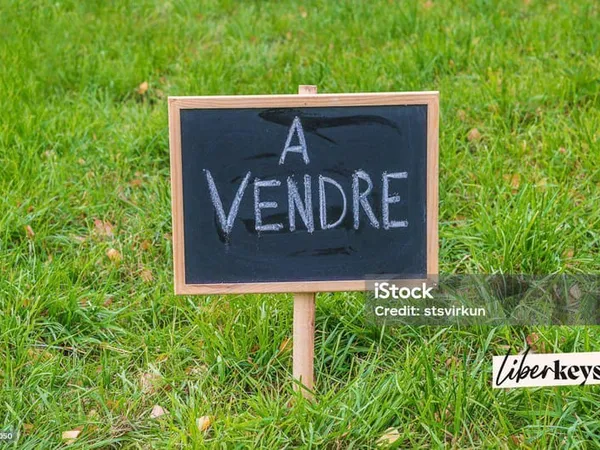 Terrain constructible