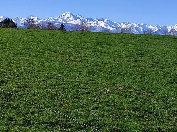 Terrain en individuel 1557 m²