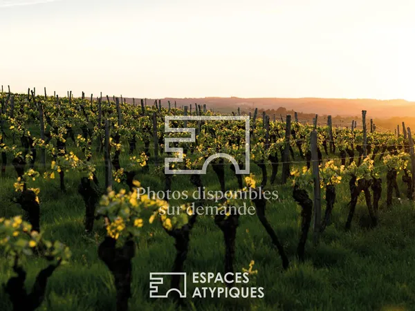 L'Art de Vivre Éco-Architectural entre vignoble et Loire
