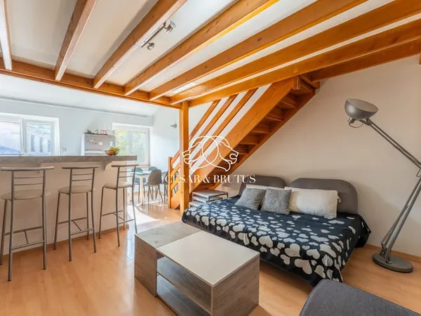 Appartement T2 en duplex de 48,84 m² (carrez) climatisé- Les S