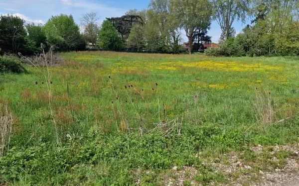 Lot de 9 terrains - LAFOX