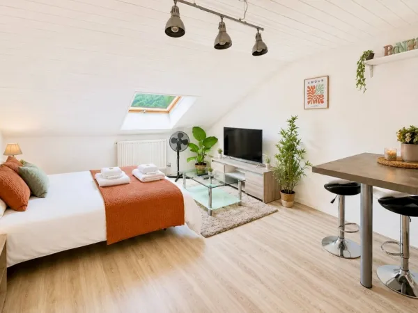 Studio 1 pièce 22 m²