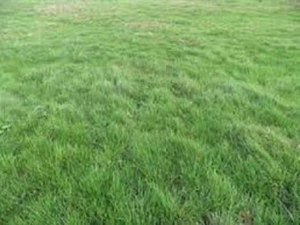 Terrain 1062 m²