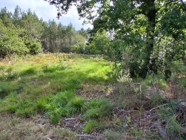 Terrain de loisir