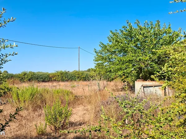 Location Terrain agricole, cloturé, eau forage