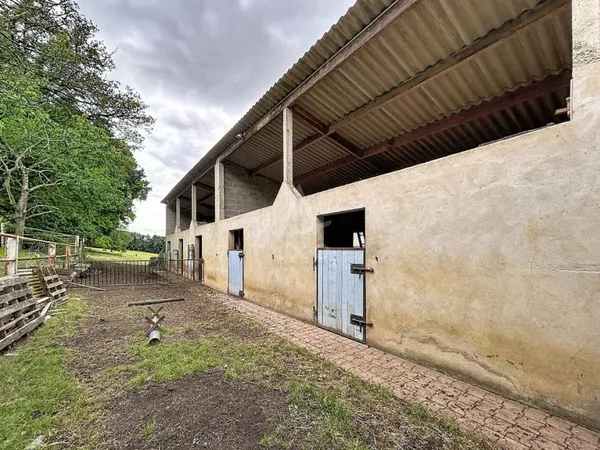 Terrain agricole 43000 m²
