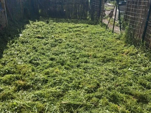 Joli T2 NEUF plain-pied meublé avec jardinet