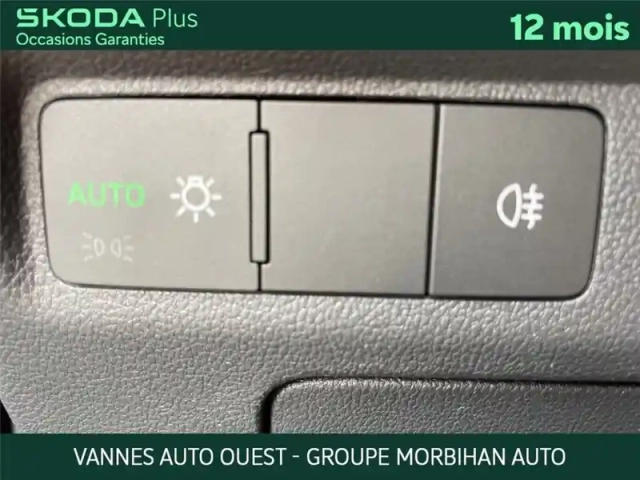 Skoda Enyaq iv 80 — photo 13