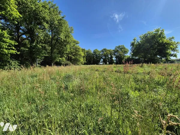 Terrain 709 m²