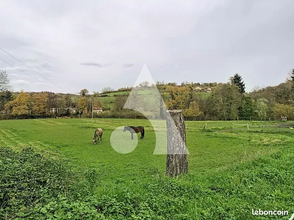 Propriété 12 pièces 334 m²