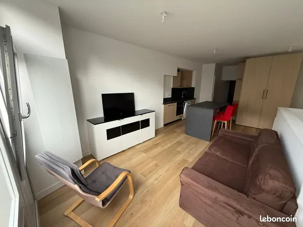 Appartement 3 chambres entièrement rénové centre-ville