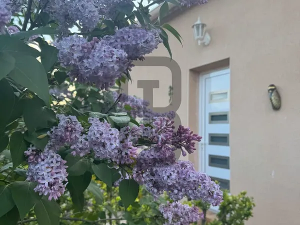 Maison Vente Limoux 7p 173m² 363500€