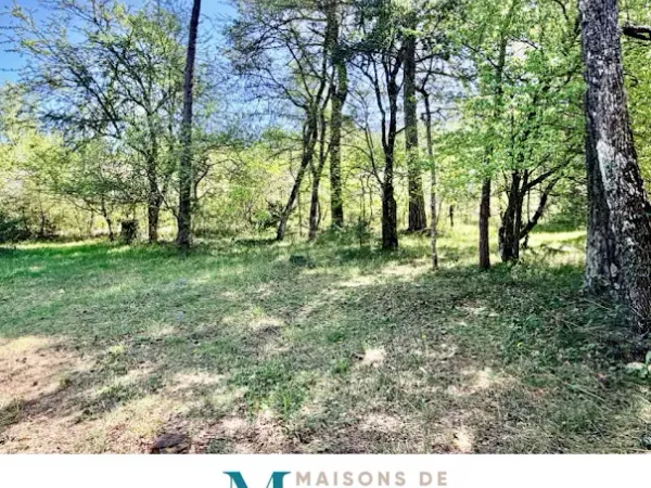 Terrain 739 m²