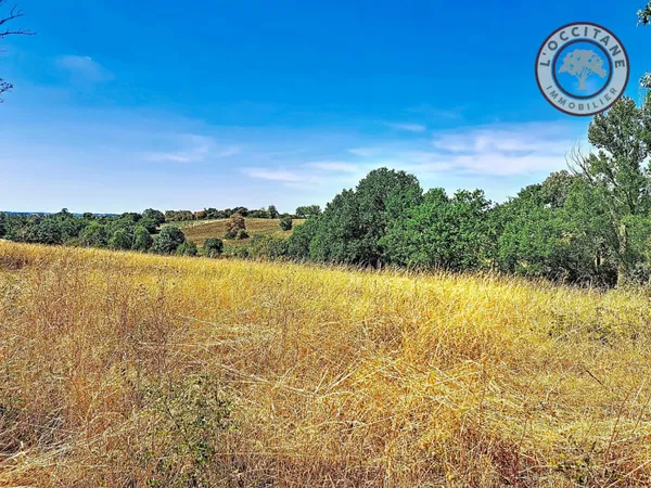 Terrain 2409 m²